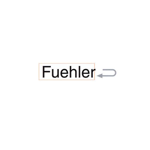 Fuehler Fuehler album cover