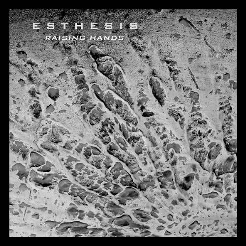 Esthesis - Raising Hands CD (album) cover