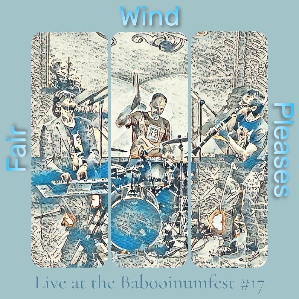 Fair Wind Pleases - Live at the Babooinumfest #17 CD (album) cover