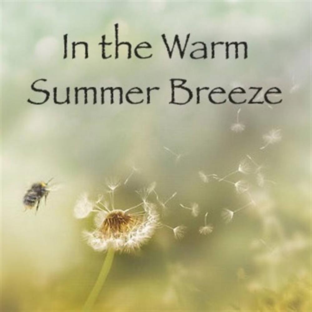 KDB3 - In the Warm Summer Breeze CD (album) cover
