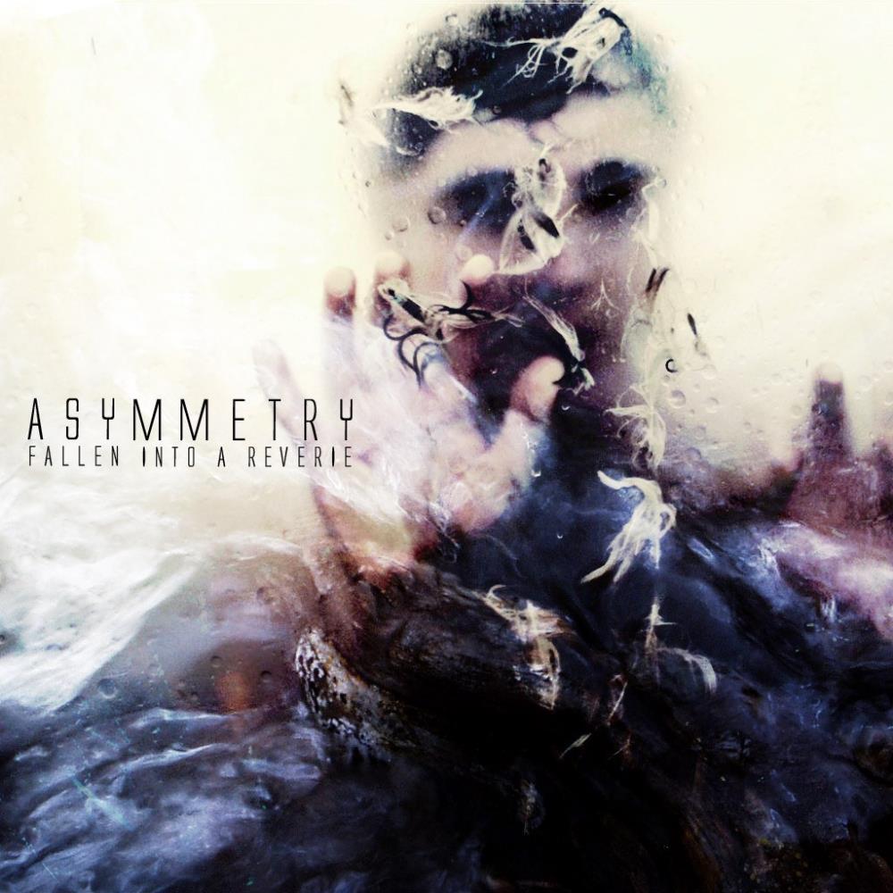 Asymmetry Fallen into a Reverie album cover
