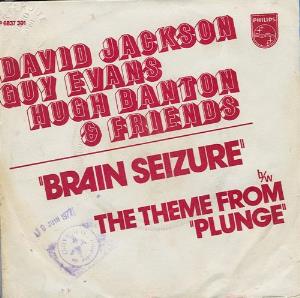 The Long Hello - Brain Seizure CD (album) cover