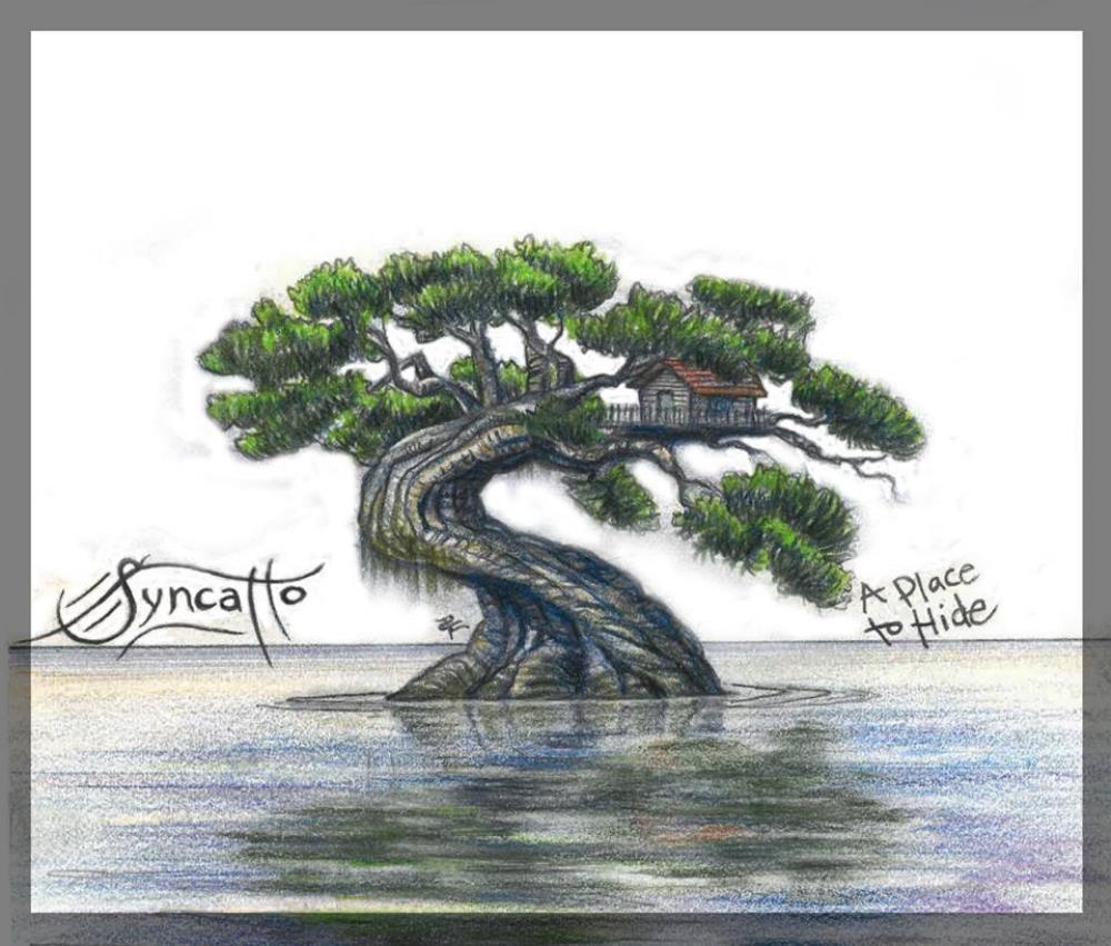 Syncatto - A Place to Hide CD (album) cover