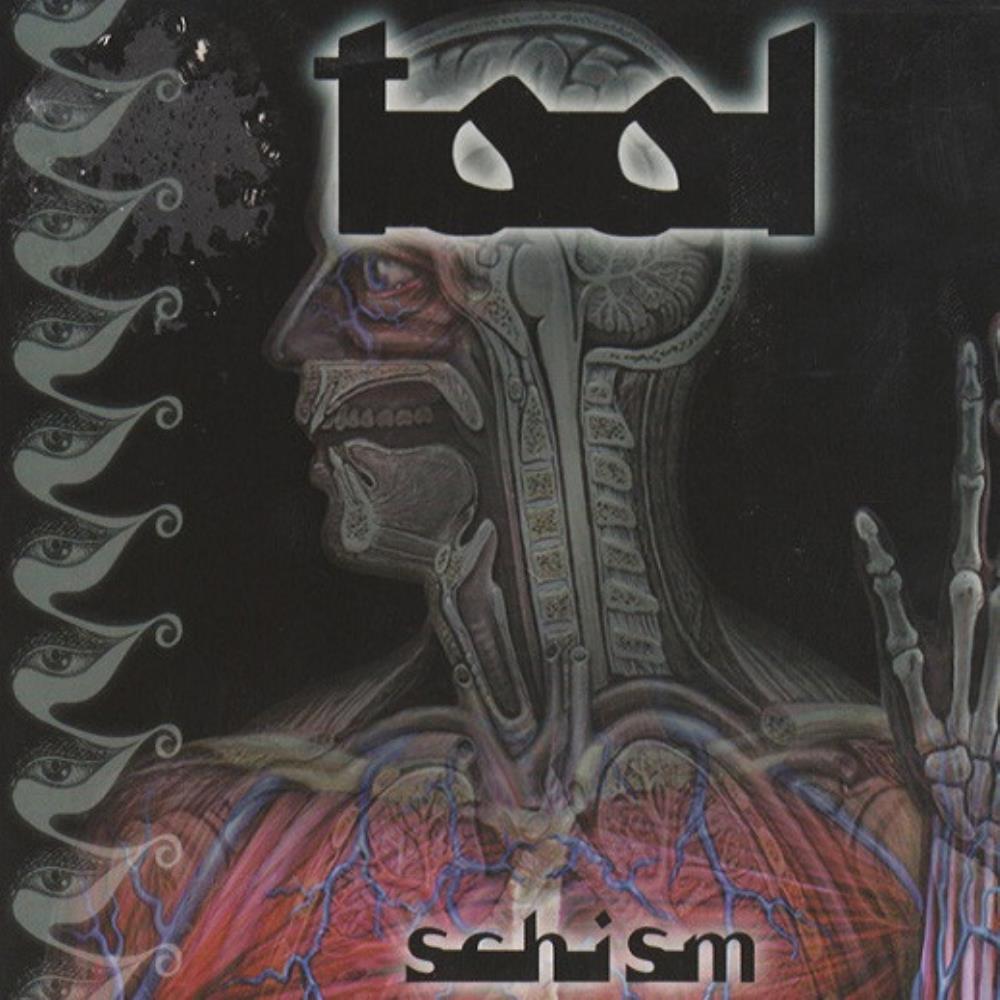 Tool Schism album cover