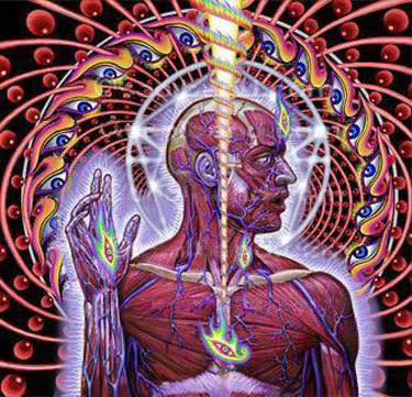 Tool Lateralus album cover