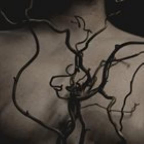 Fawn Limbs - Sleeper Vessels CD (album) cover