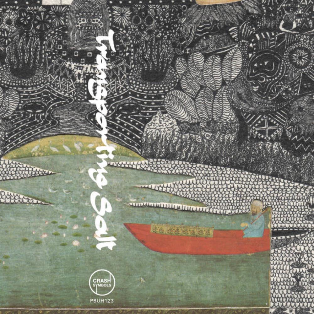 Spiritczualic Enhancement Center - Transporting Salt CD (album) cover