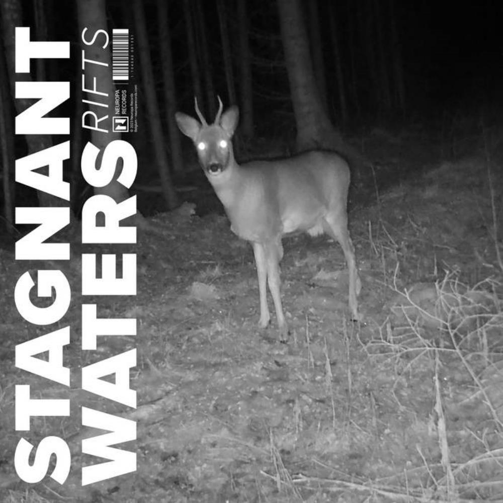 Stagnant Waters Rifts album cover