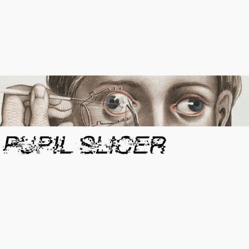 Pupil Slicer - Pupil Slicer CD (album) cover