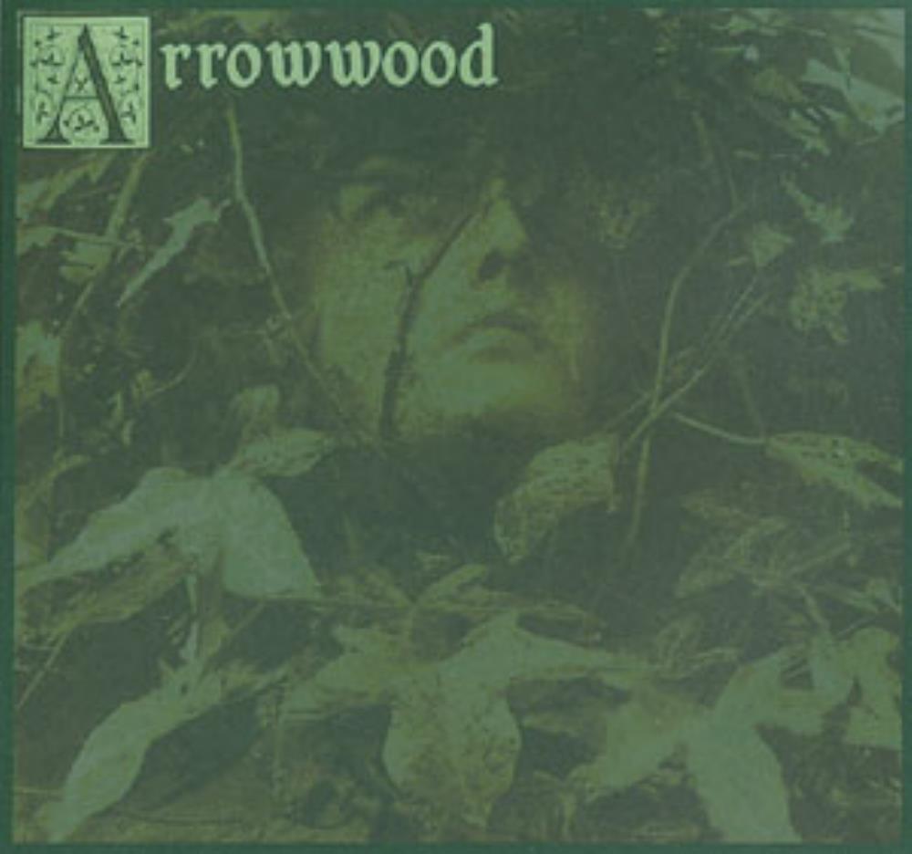Arrowwood Arrowwood / Novemthree album cover