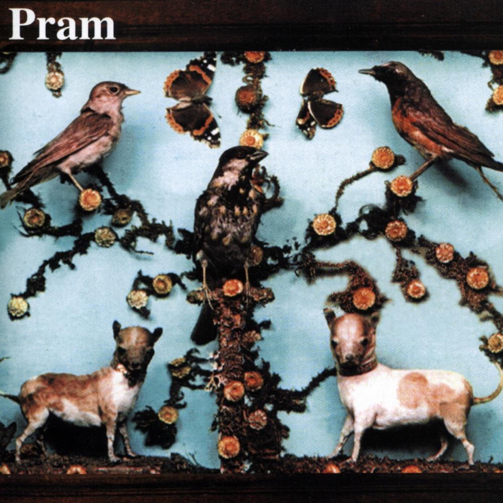 Pram - The Museum of Imaginary Animals CD (album) cover