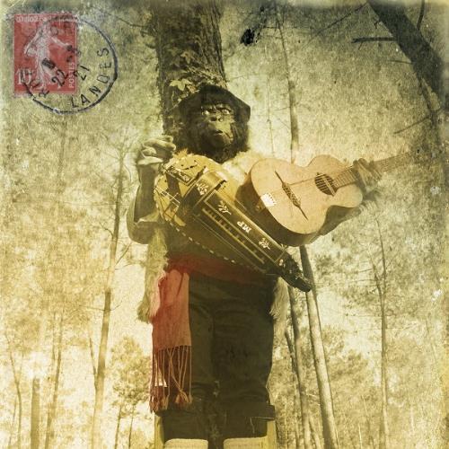 Romain Baudoin 1 Primate album cover