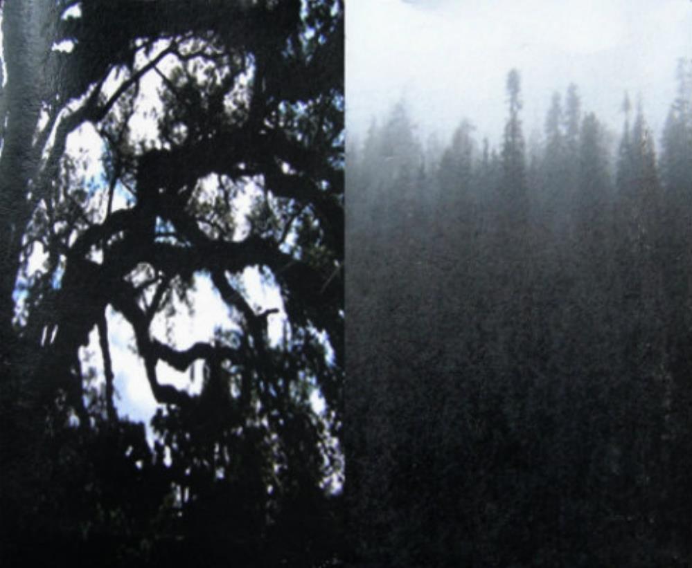 Thou We Pass like Night, from Land to Land (split with Leech) album cover