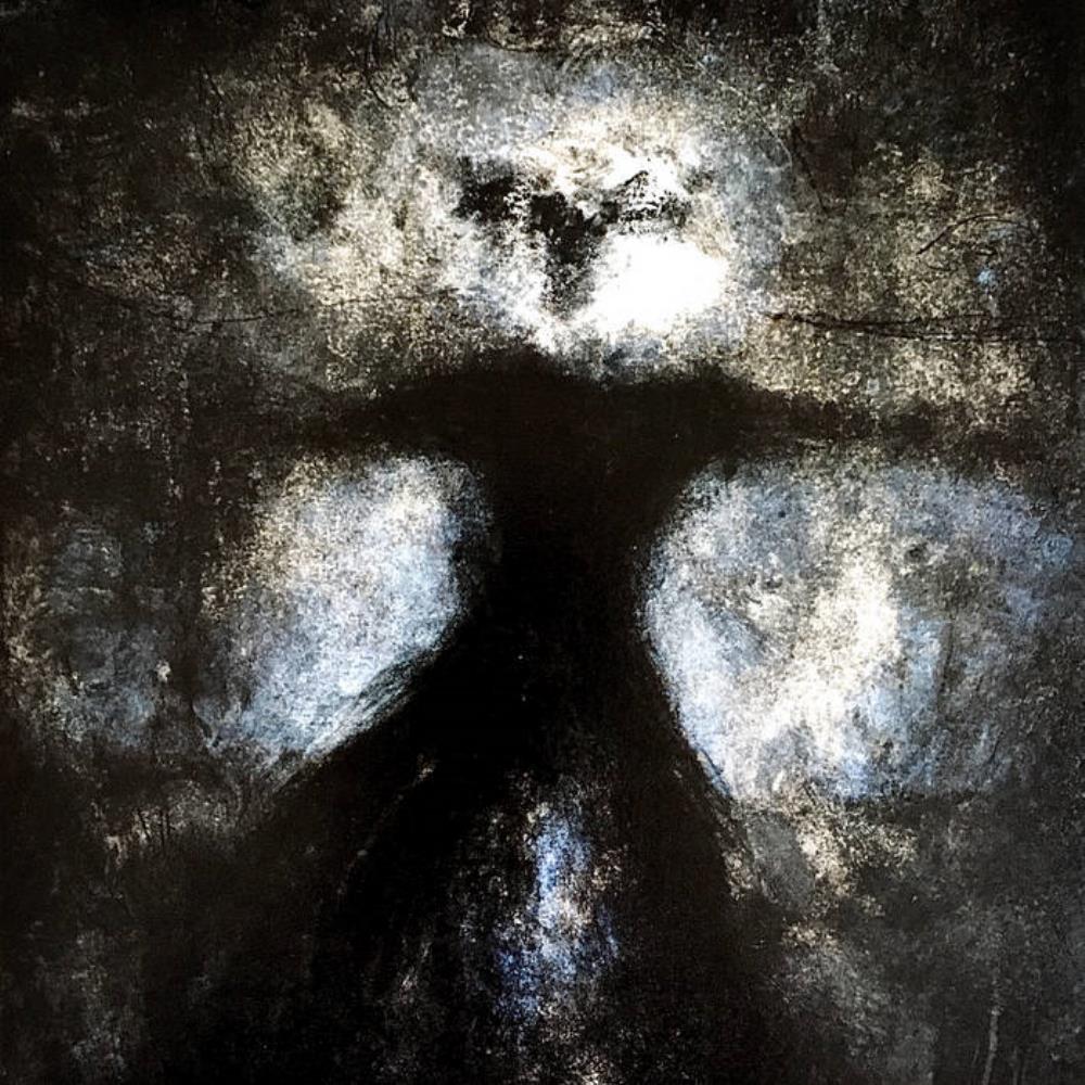 The Stargazer's Assistant Shivers and Voids album cover