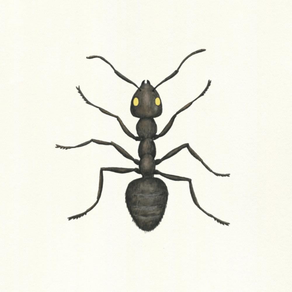 Danefae Blind album cover