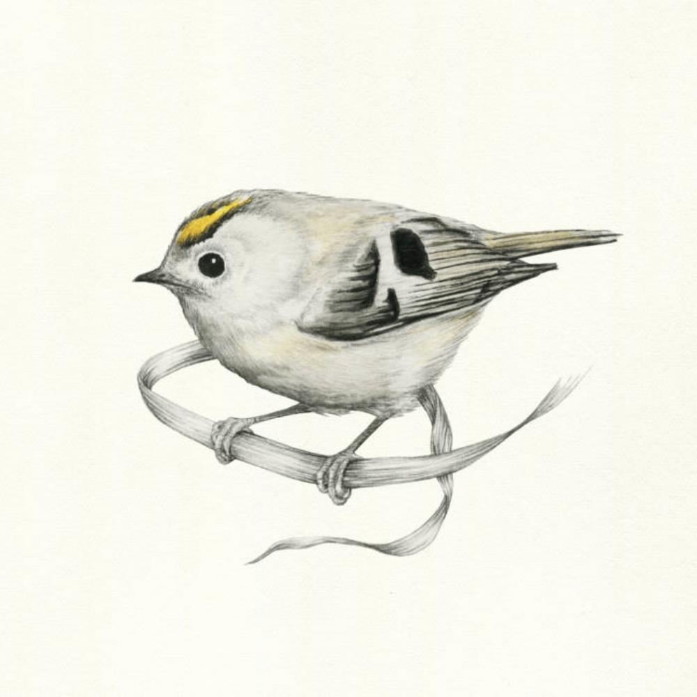 Danefae Fuglekongen album cover