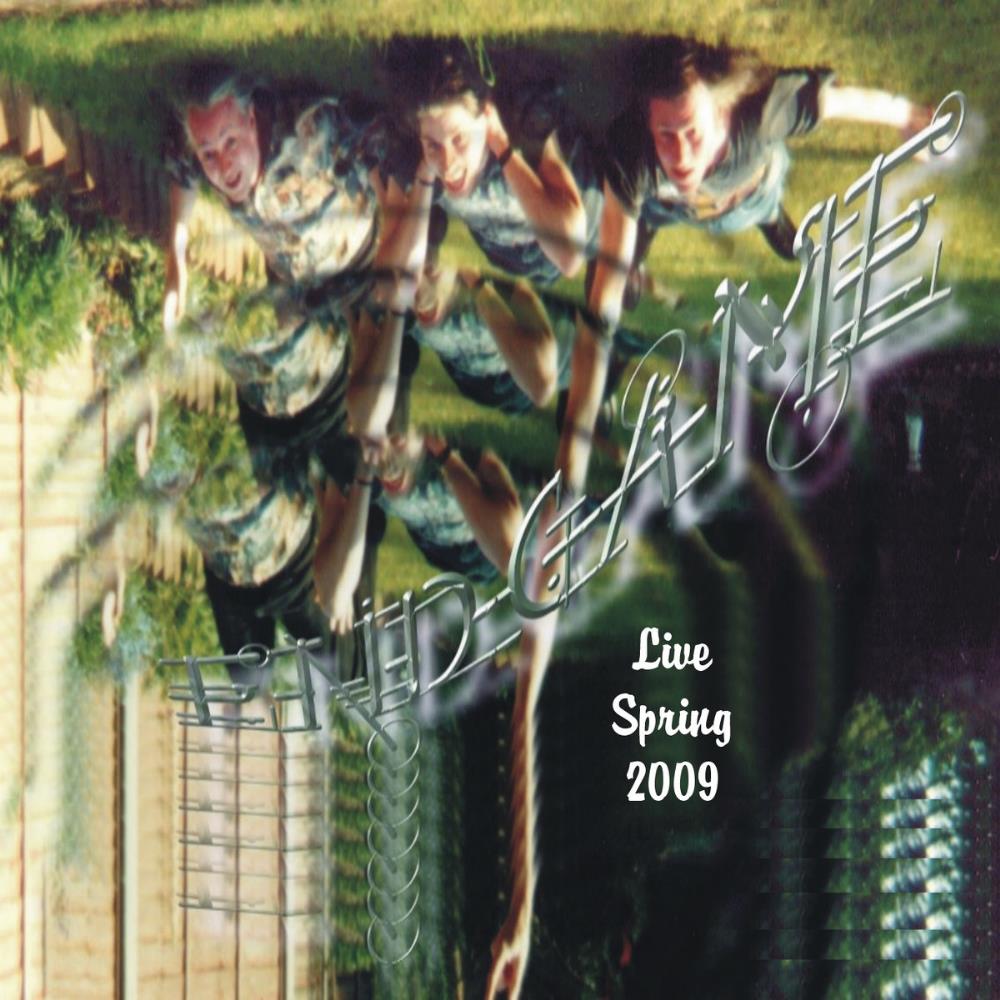 Endgame - Live Spring 2009 CD (album) cover