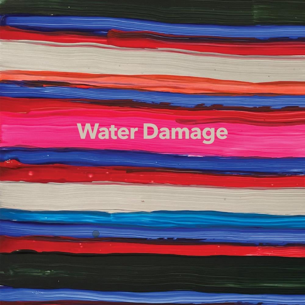 Water Damage - But The Rat Was Very Smart CD (album) cover