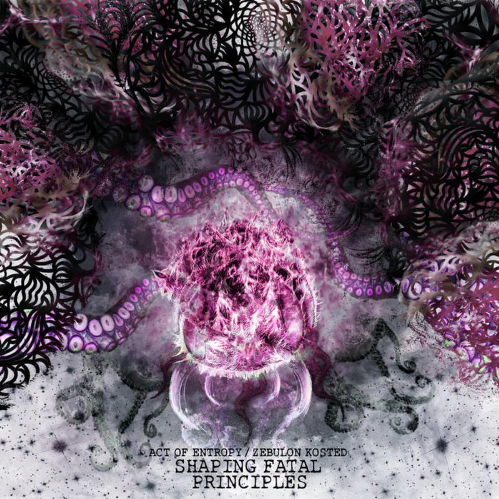 Act of Entropy Shaping Fatal Principles (Split with Zebulon Kosted) album cover