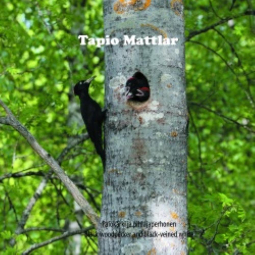 Tapio Mattlar - Palokrki ja pihlajaperhonen CD (album) cover