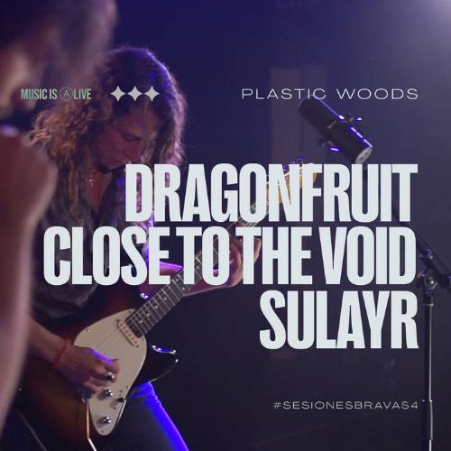 Plastic Woods - Sesiones Bravas CD (album) cover
