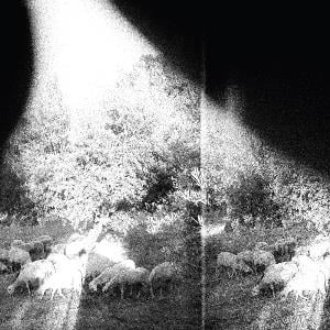 Godspeed You! Black Emperor 'Asunder, Sweet And Other Distress' album cover