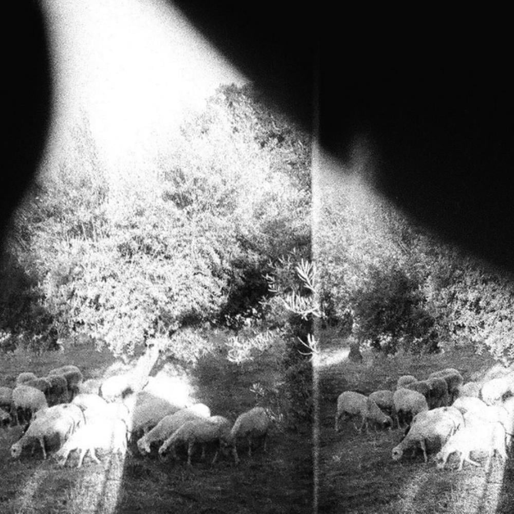 Godspeed You! Black Emperor - Asunder, Sweet And Other Distress CD (album) cover