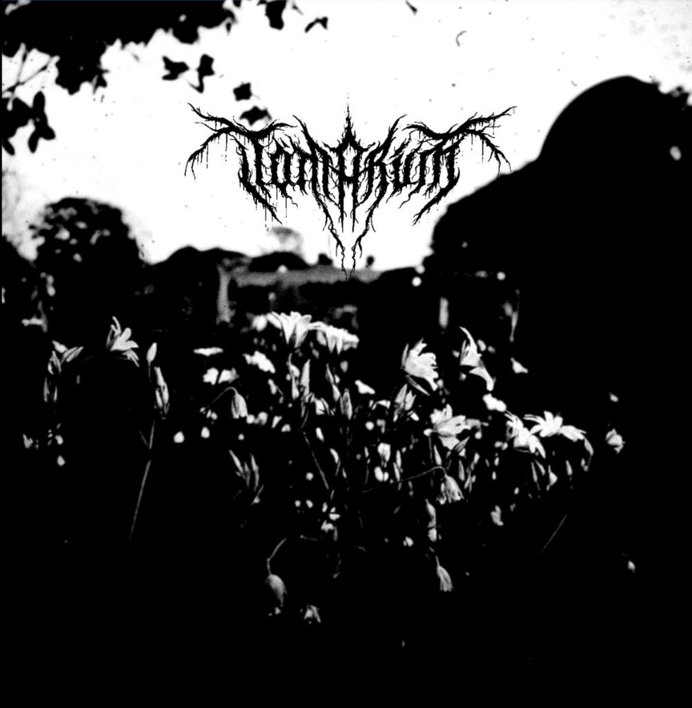 Tmarm - Demo MMXIX CD (album) cover