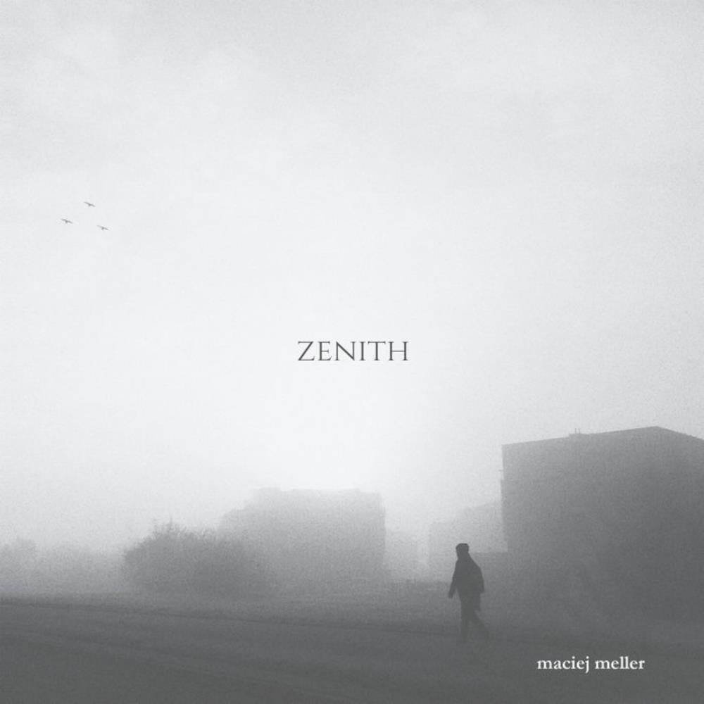 Maciej Meller Zenith album cover