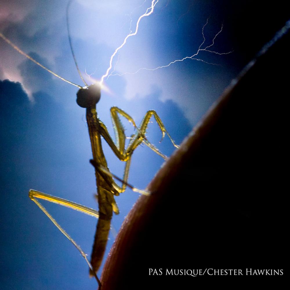 Pas Musique - Sleep the Storm (collaboration with Chester Hawkins) CD (album) cover