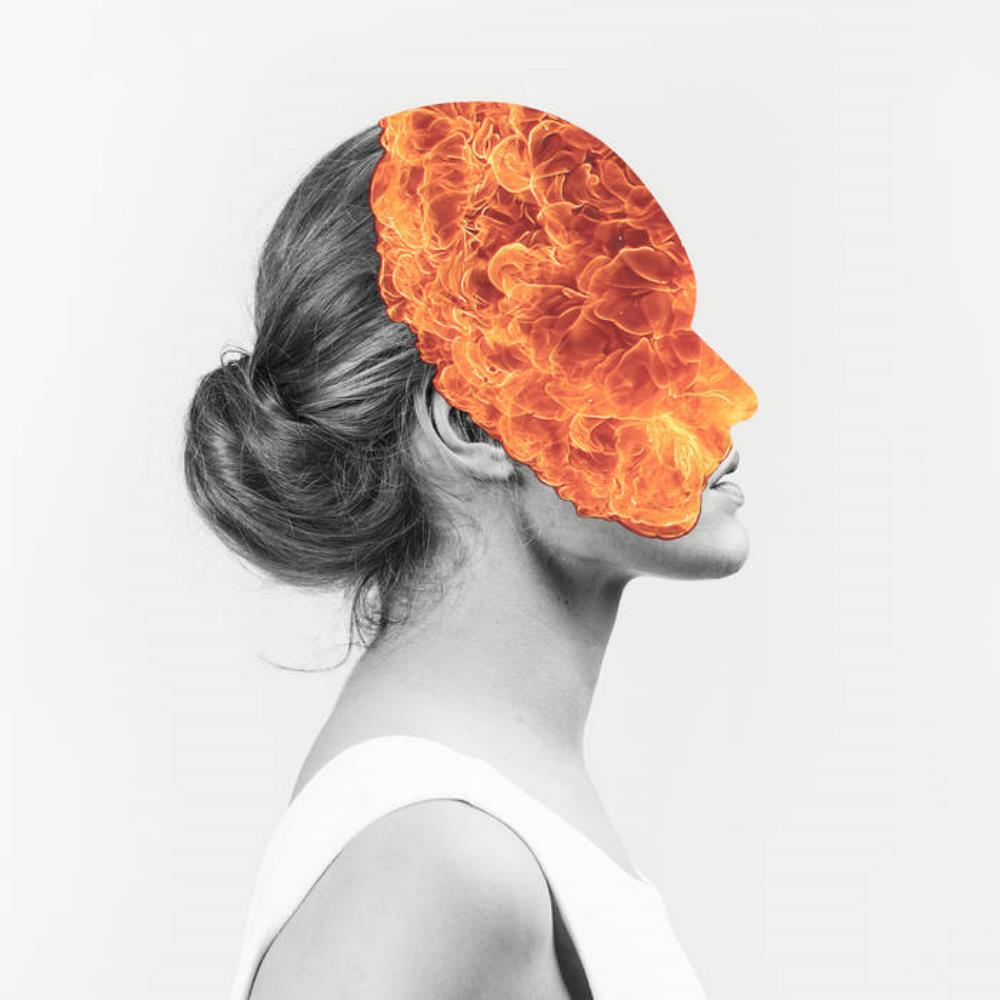 Agent Fresco - Destrier CD (album) cover