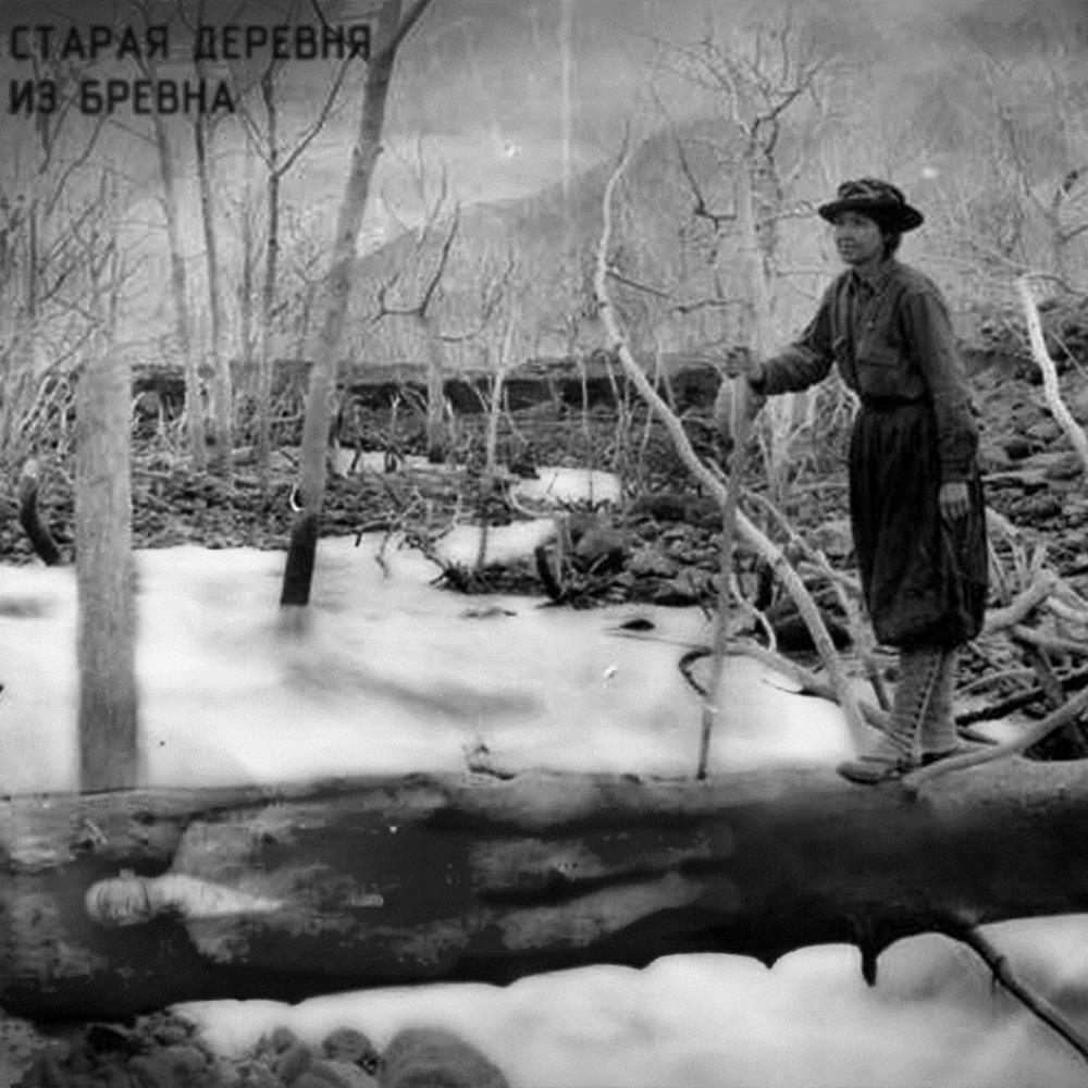 Staraya Derevnya From Inside the Log album cover