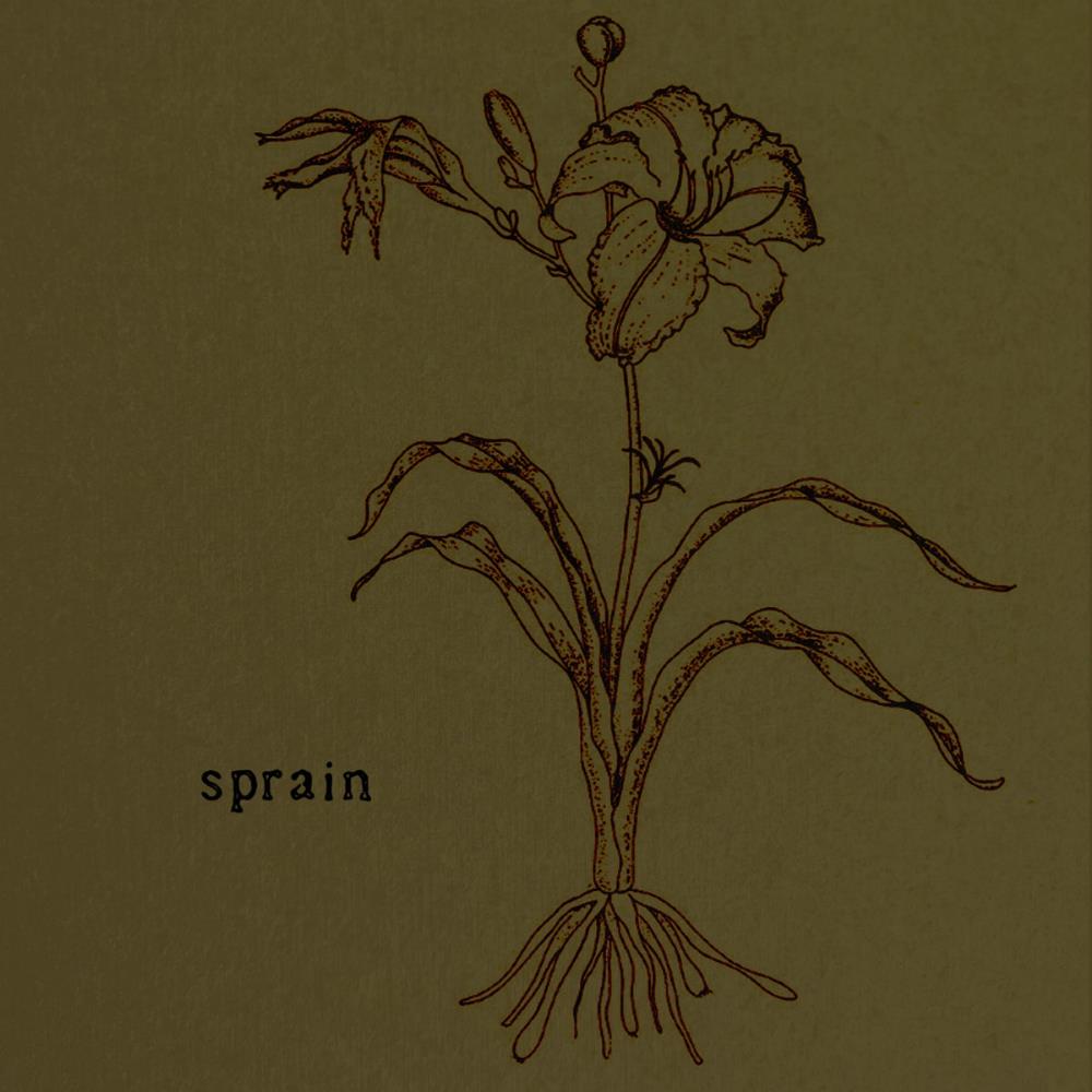 Sprain - Sprain CD (album) cover