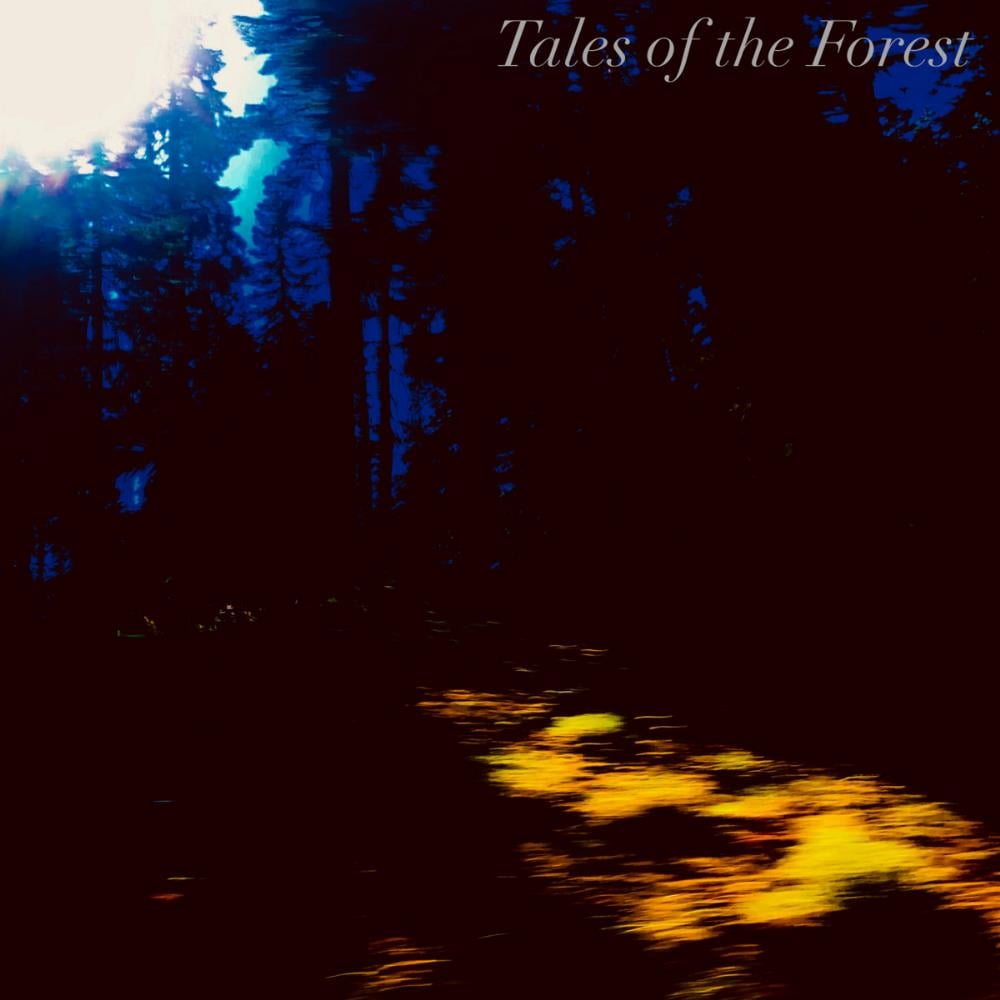 Jake Gotlieb's Banach-Tarski Paradox - Tales of the Forest CD (album) cover