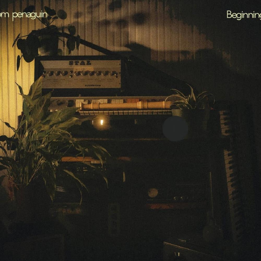 Tom Penaguin Beginnings album cover