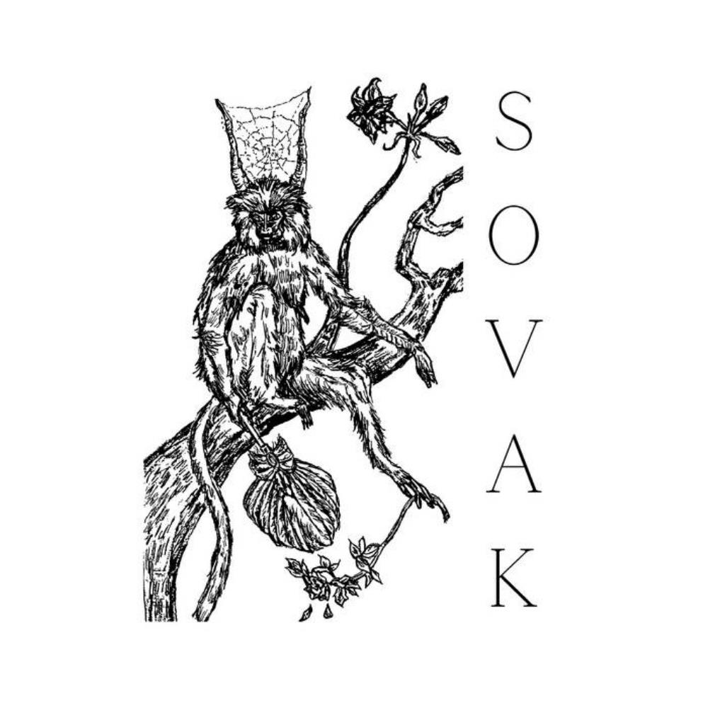 Sovak Terra (single version) album cover