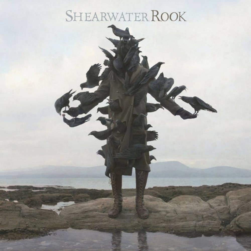 Shearwater - Rook CD (album) cover