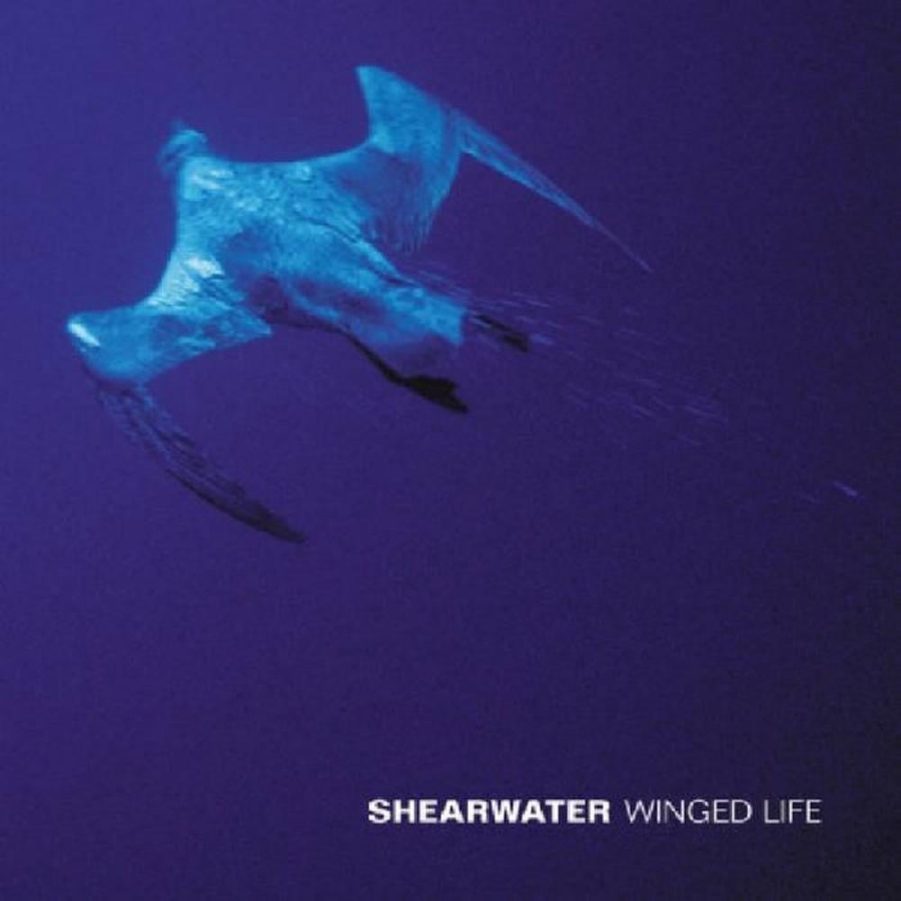  Winged Life by SHEARWATER album cover