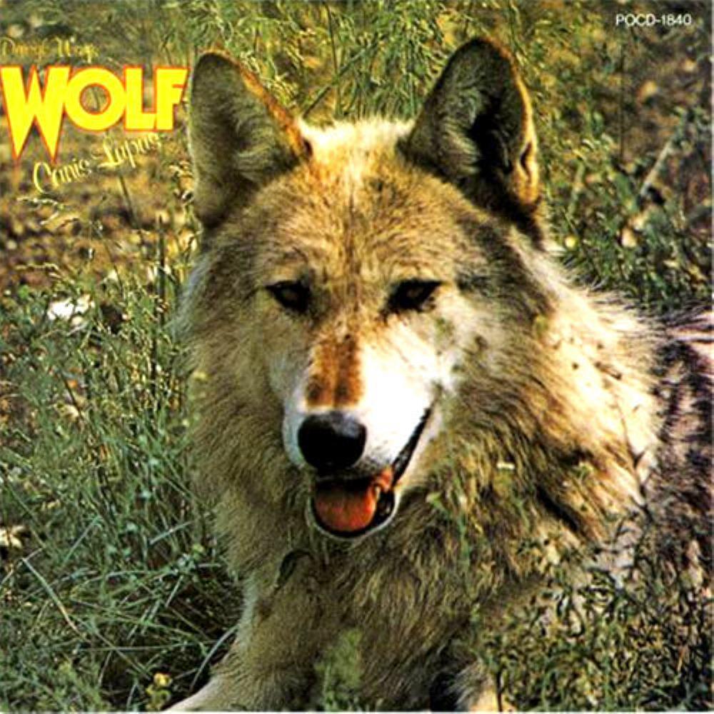 Wolf Canis Lupus album cover