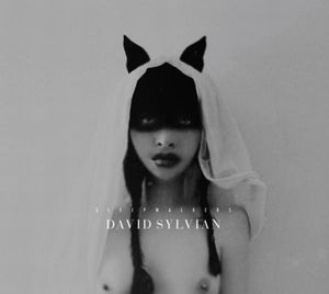 David Sylvian Sleepwalkers album cover