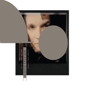 David Sylvian - Do You Know Me Now? CD (album) cover