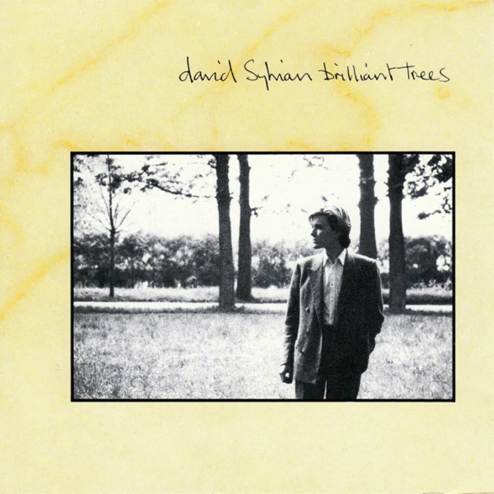 David Sylvian Brilliant Trees album cover