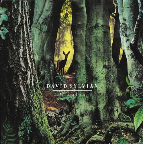 David Sylvian - Manafon CD (album) cover