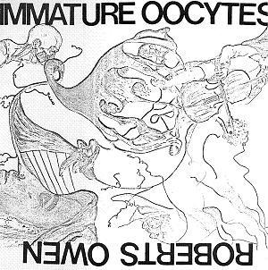 Maelstrom - Immature Oocytes (Roberts Owen - Robert Williams of Maelstrom) + Maelstrom CD (album) cover