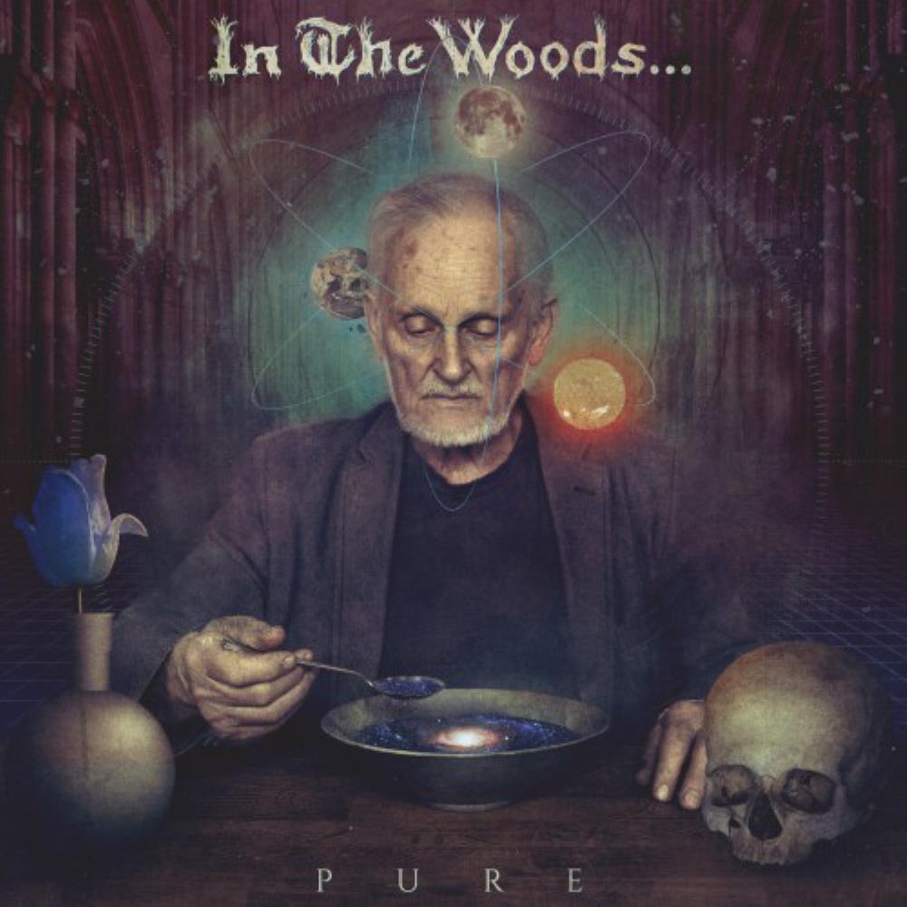 In The Woods... - Pure CD (album) cover