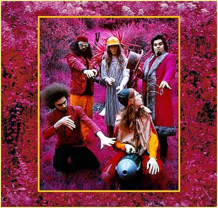 Captain Beefheart Grow Fins (Rarities 1965 - 1982) album cover