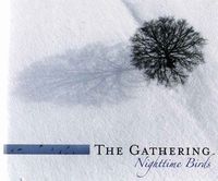 The Gathering Nighttime Birds (limited deluxe edition) album cover