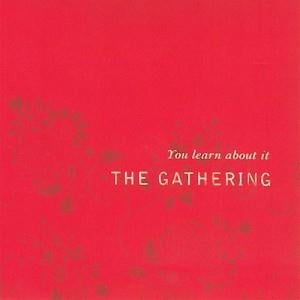 The Gathering You Learn About It album cover