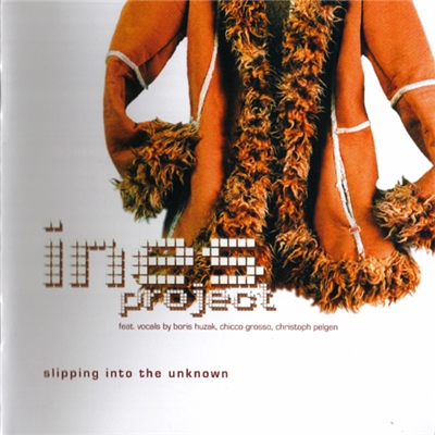 Ines - Slipping Into The Unknown  CD (album) cover