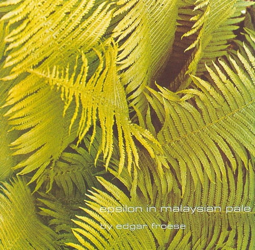 Edgar Froese Epsilon in Malaysian Pale album cover